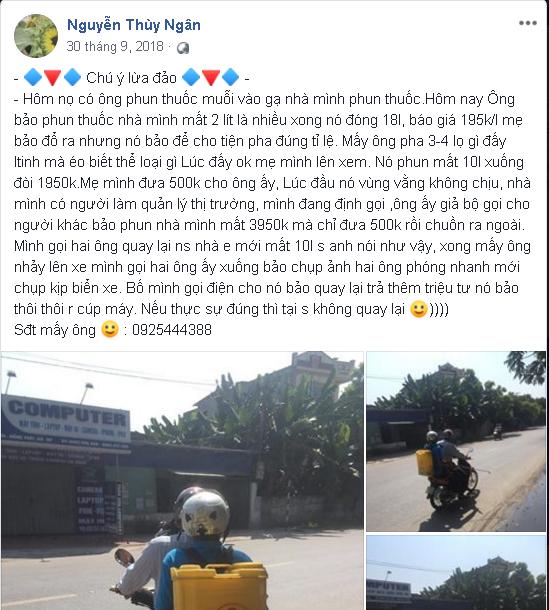 Truong_hop_lua_phun_thuoc_diet_muoi_tinh_gia_cat_co Truong_hop_lua_phun_thuoc_diet_muoi_tinh_gia_cat_co